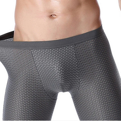 Mens shorts Ice Silk Cool Comfort Breathable underpants Mesh Long Leg Brief  Viscose Underwear for Men pants innerwear Gift